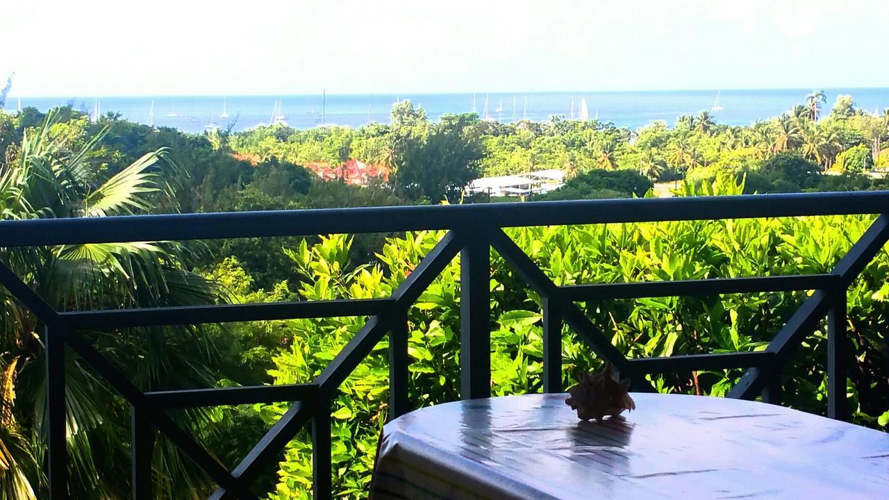Studios Carribean Sea View Sainte-Anne Eksteriør billede