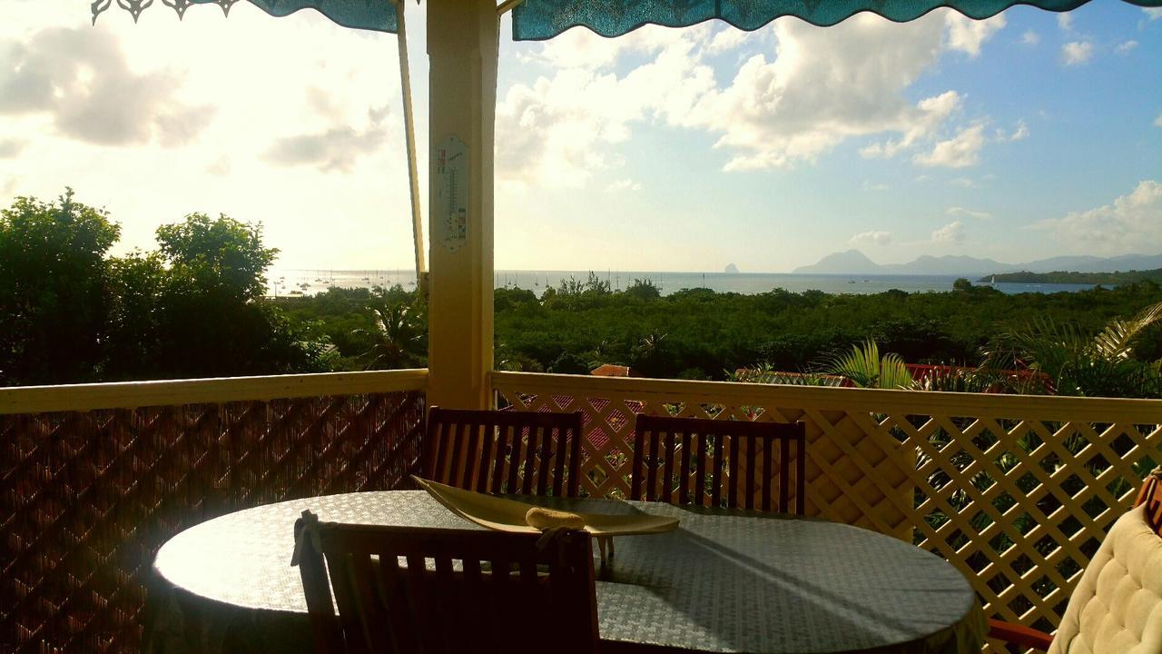 Studios Carribean Sea View Sainte-Anne Eksteriør billede